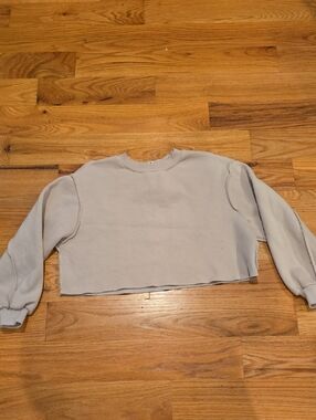 Cropped Crewneck Sweatshirt in Pale Gray